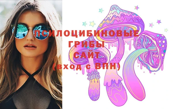 дмт Нея
