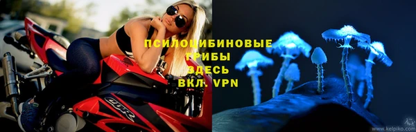 бошки Нефтекумск