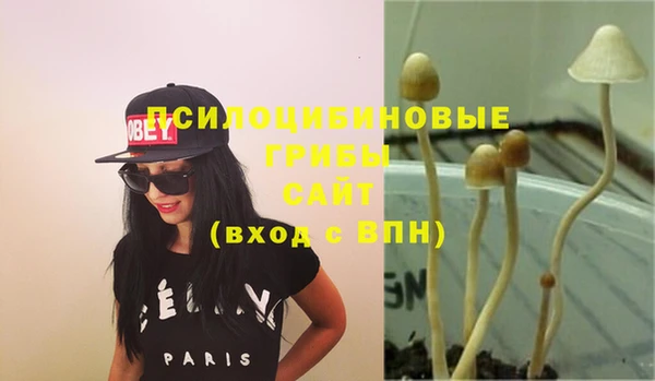 бошки Нефтекумск