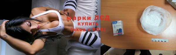 дмт Нея