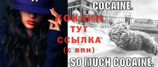 дмт Нея