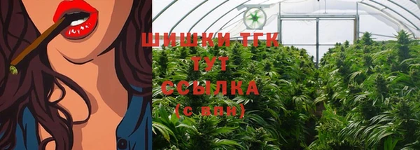 дмт Нея