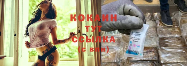 дмт Нея