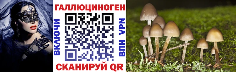 Псилоцибиновые грибы мицелий  Купить закладки  Пролетарск 
